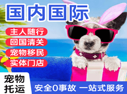 通化空运国际宠物托运 【国
